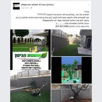 אומנות הגינון - עבודה 4